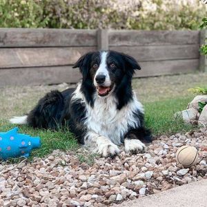 Meet your Posher, Bev